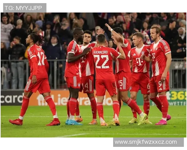 巅峰对决欧冠决赛拜仁与多特的荣耀之战与历史交锋